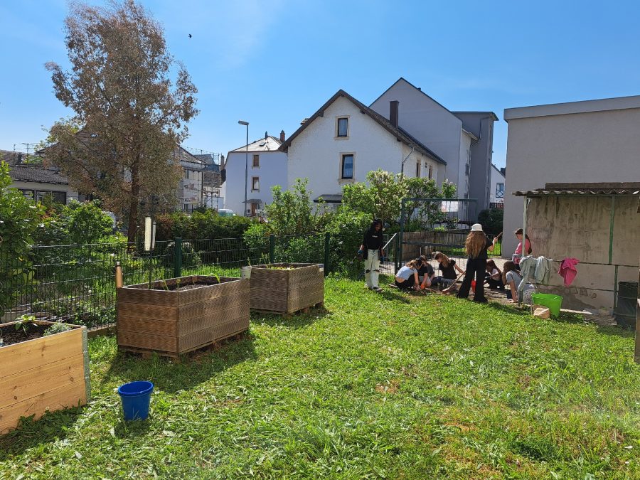 You are currently viewing Unsere Garten-AG richtet den Schulgarten ein